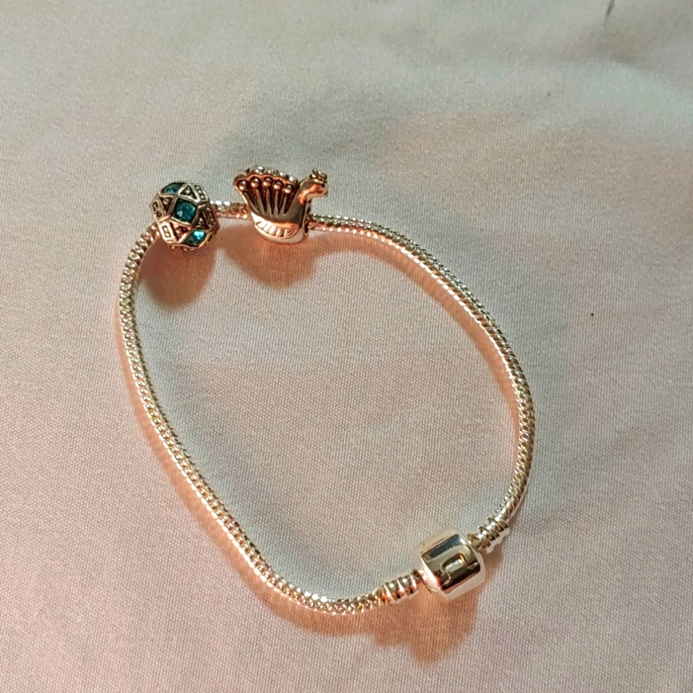 Silver Bracelet with 2 charms